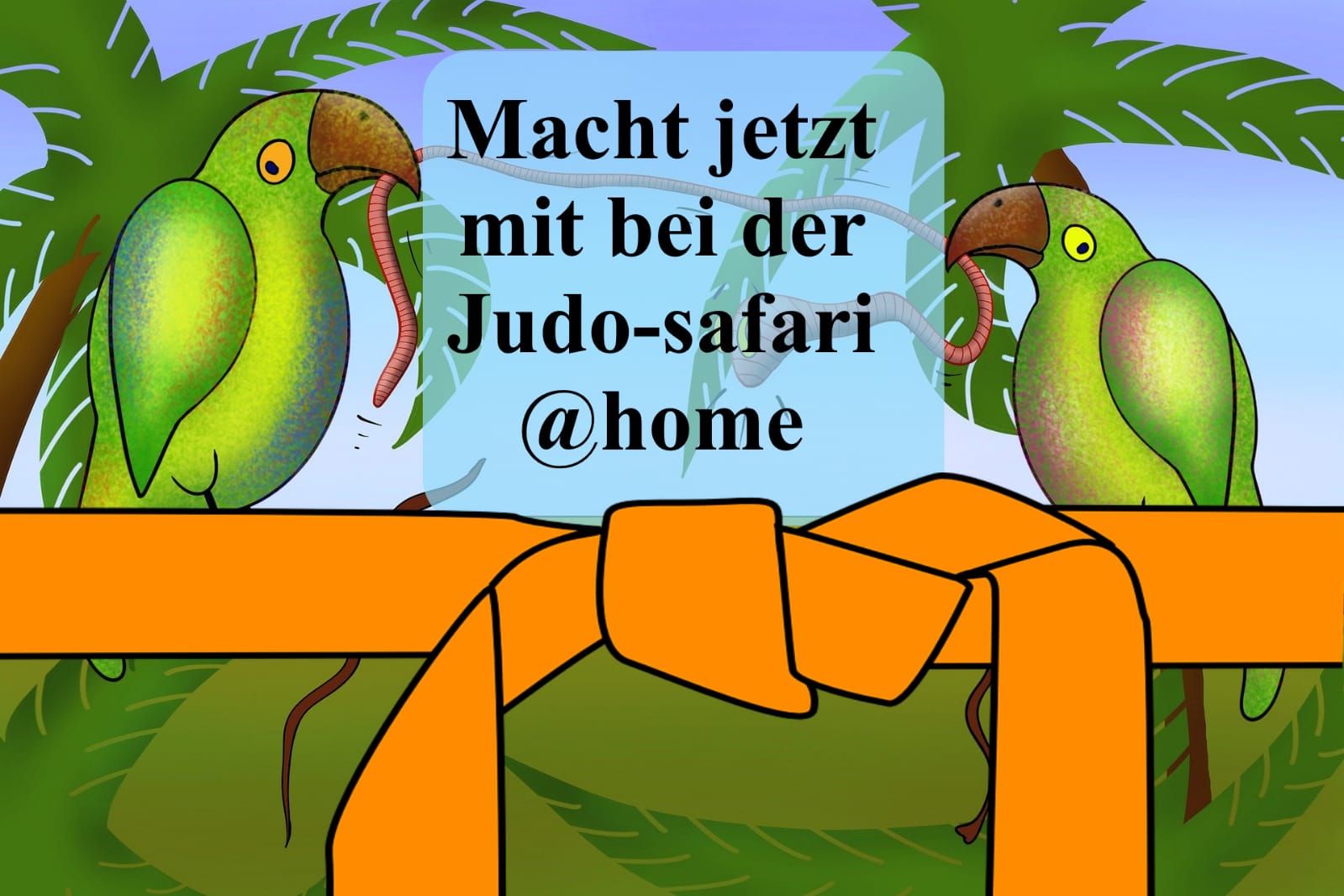 Judo-Safari für Zuhause
